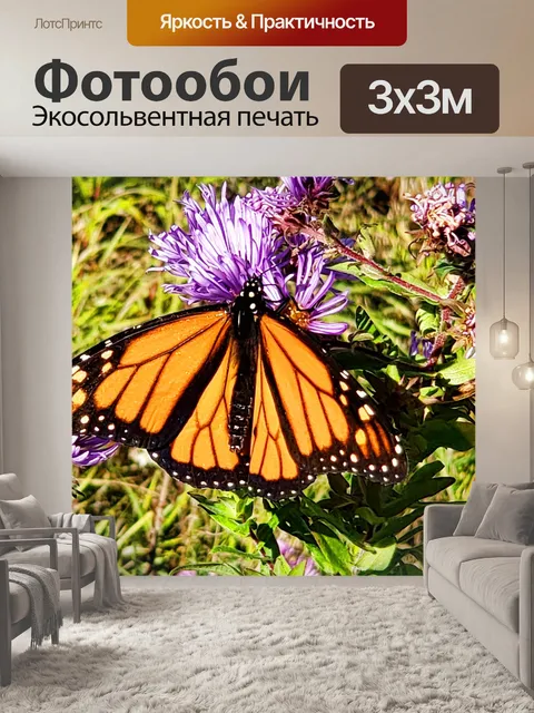 Фотообои Бабочка на цветах