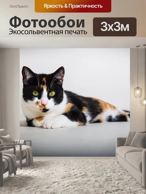 Фотообои Кошки