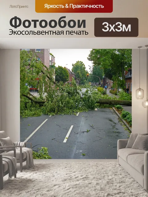 Фотообои Буря