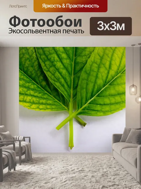 Фотообои Листья