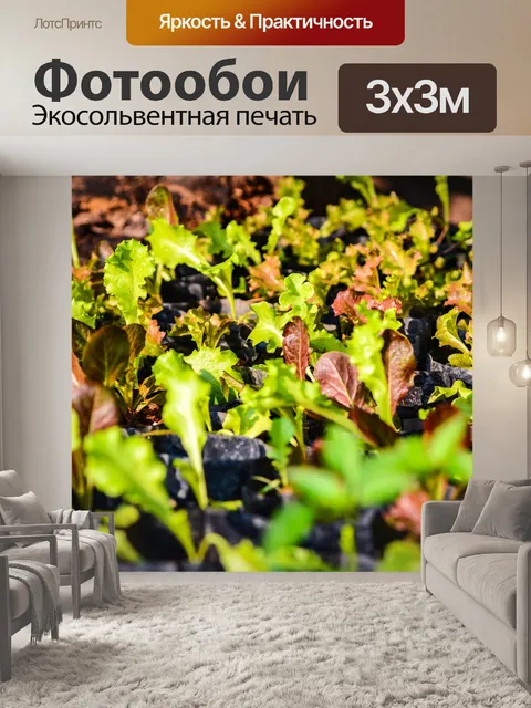 Фотообои Цветы
