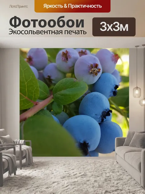 Фотообои Сад