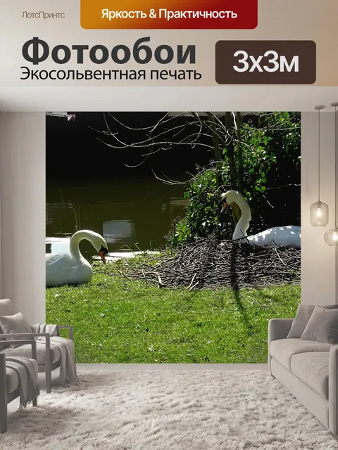 Фотообои Лебеди