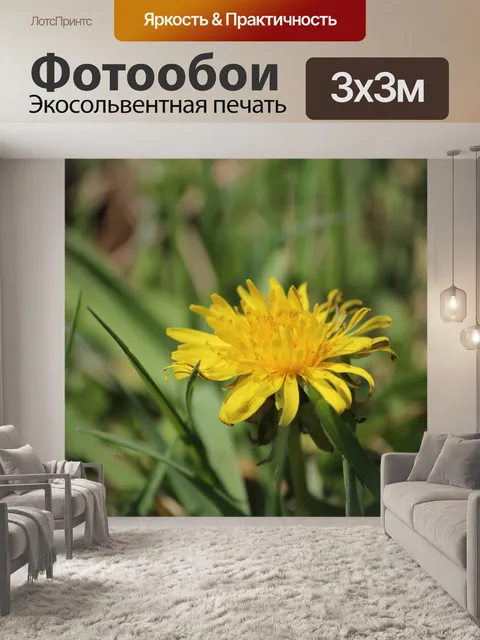 Фотообои Весна Одуванчик