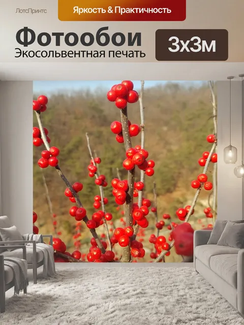 Фотообои Фрукты