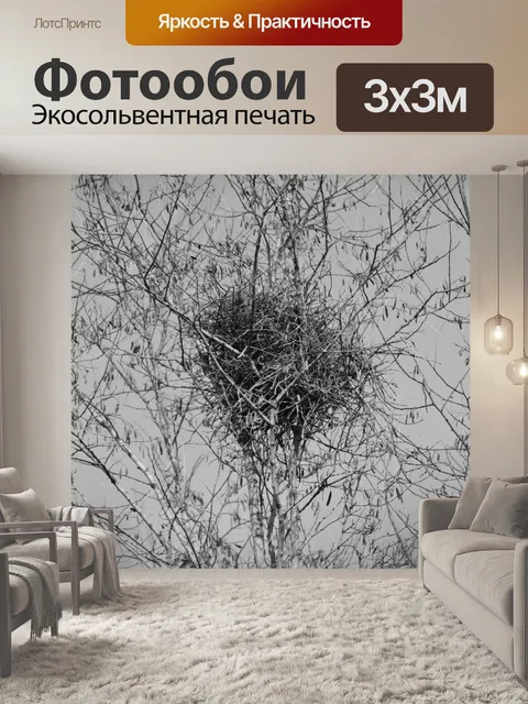 Фотообои Гнездо сорок