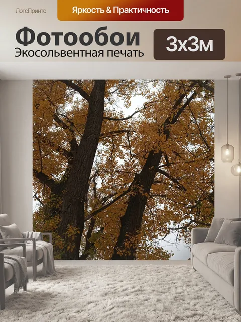 Фотообои Деревья