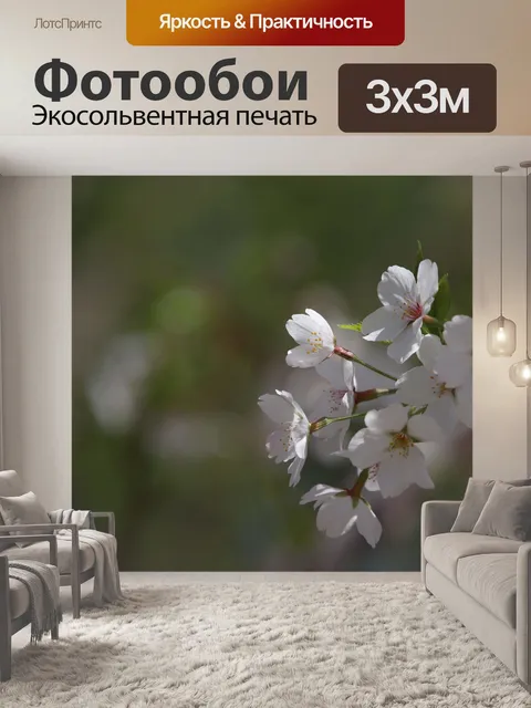 Фотообои Цветение вишни