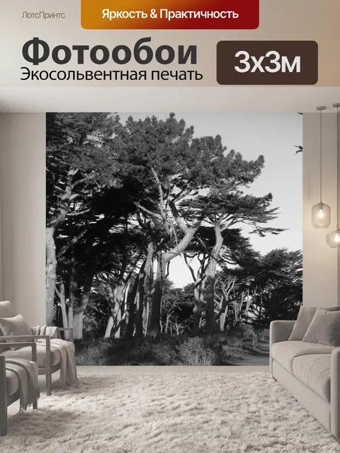 Фотообои Бент деревья Путь Черный и белый