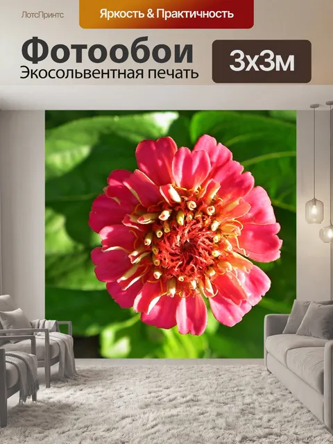 Фотообои Цветок