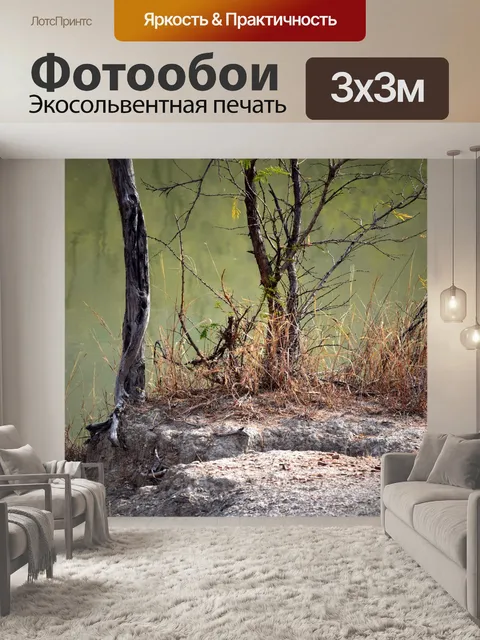 Фотообои Деревья озера 1