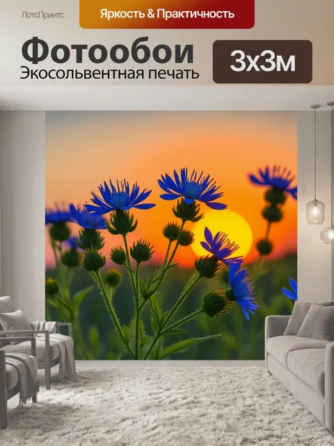 Фотообои полевые цветы на фоне заката