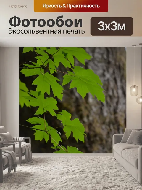 Фотообои Клен