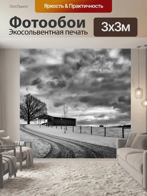 Фотообои Монохромный