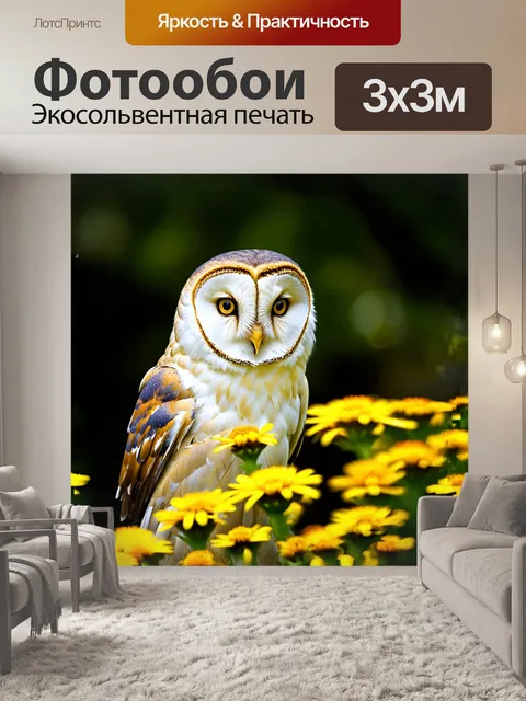 Фотообои крупный план барн совы