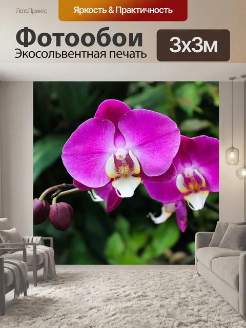 Фотообои Цветы