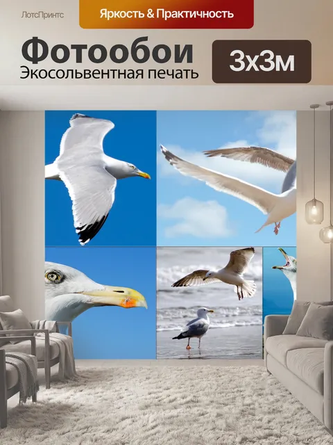 Фотообои Чайка