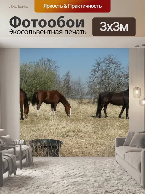 Фотообои Лошади