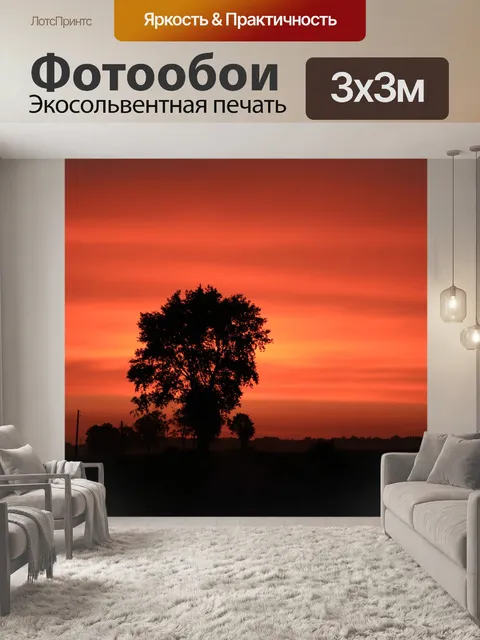 Фотообои Закат