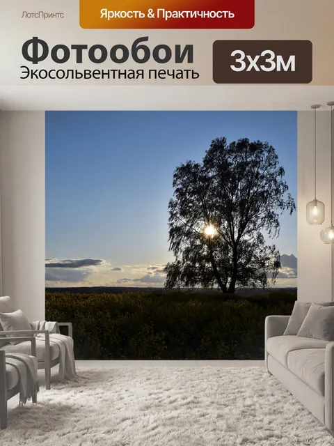Фотообои Закат