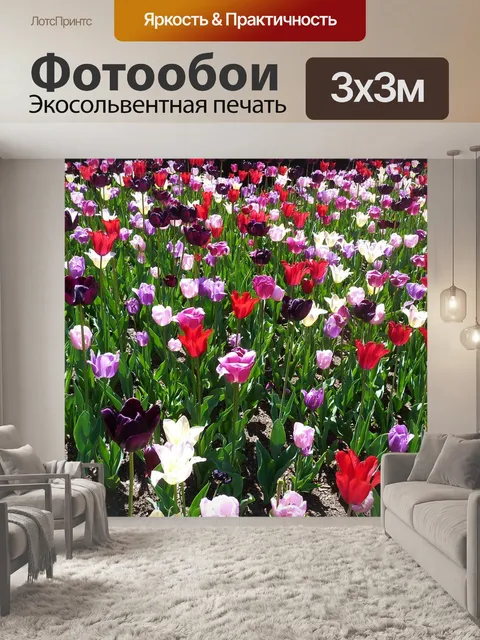 Фотообои Тюльпан