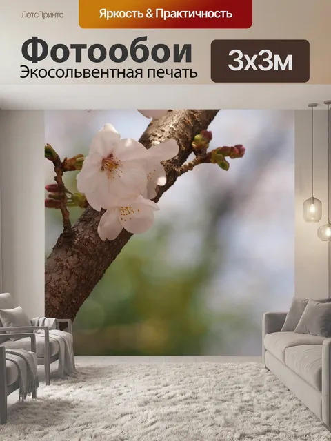 Фотообои Вишневое дерево