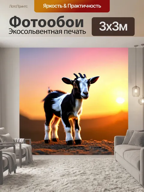 Фотообои карликовая коза с черной и белой шерстью стоит на фоне живописного заката