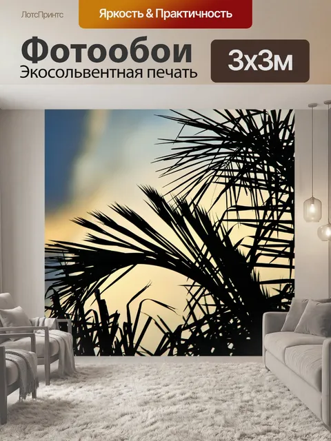 Фотообои пальмовое в капризного неба