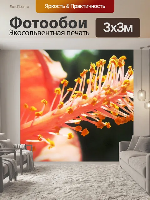 Фотообои Гибискус