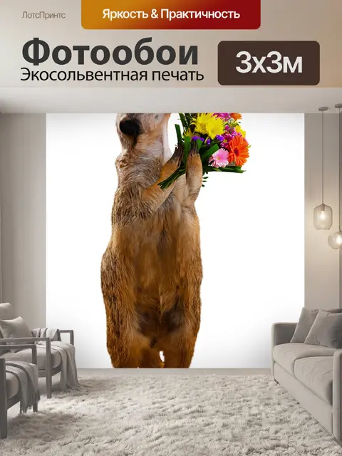 Фотообои Животное