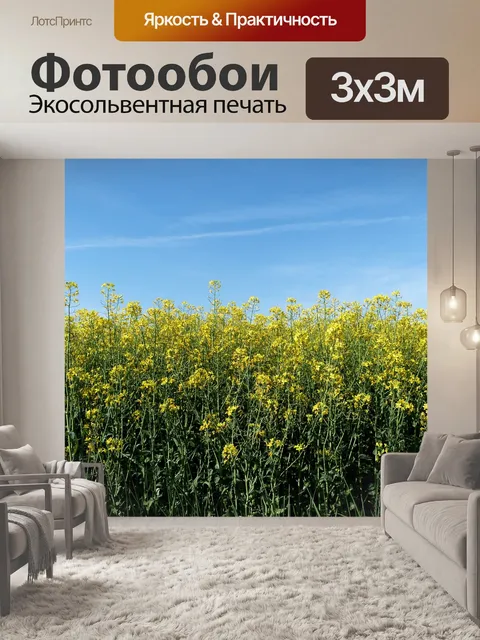 Фотообои Цветы
