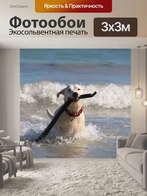 Фотообои Собака