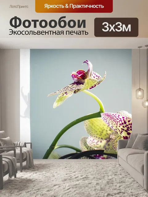 Фотообои Цветы