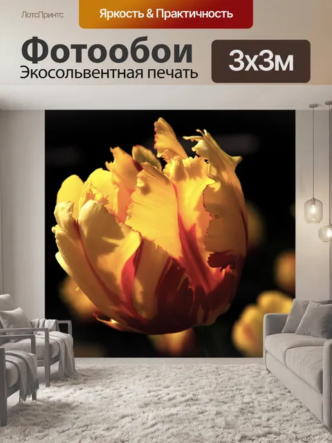 Фотообои Солнце