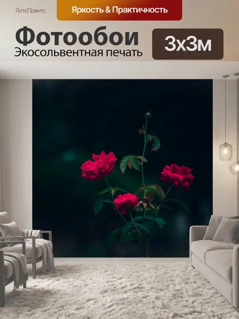 Фотообои Роза