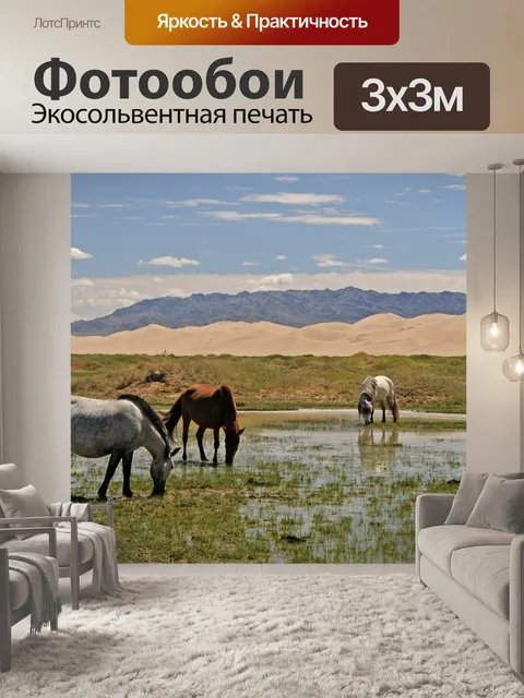 Фотообои Монголия