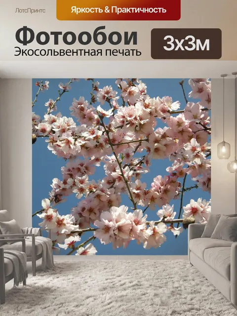 Фотообои Цветок миндаля