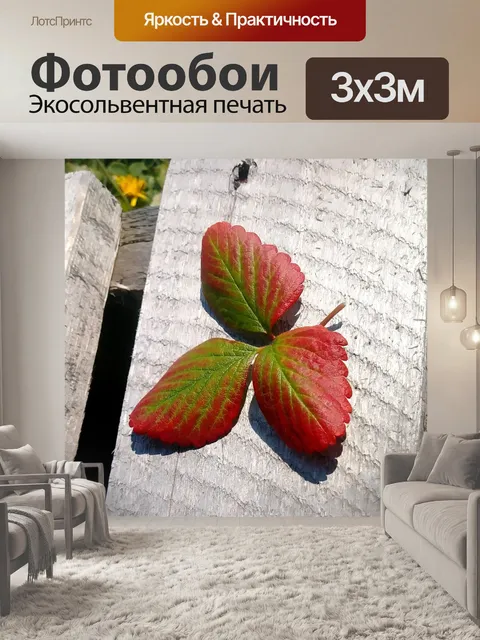 Фотообои Мертвый лист на скамейке - 2
