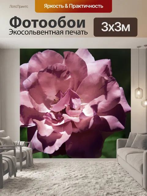 Фотообои Розовая роза