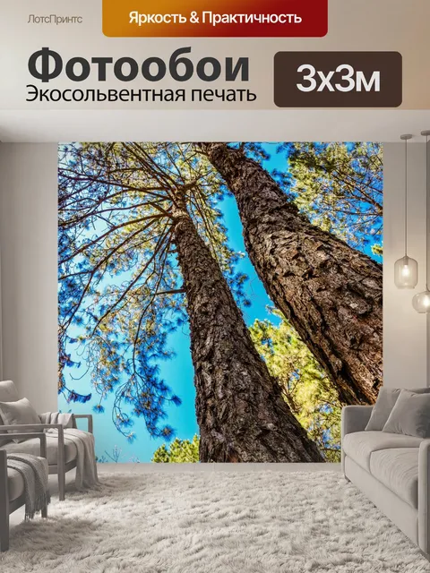 Фотообои Сосновый лес, Пан Унг, Мэй Хонг Сон