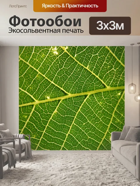 Фотообои Зеленый