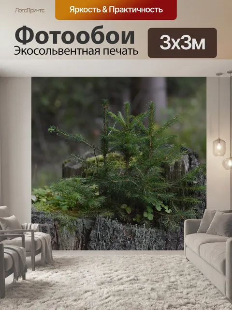 Фотообои Лес