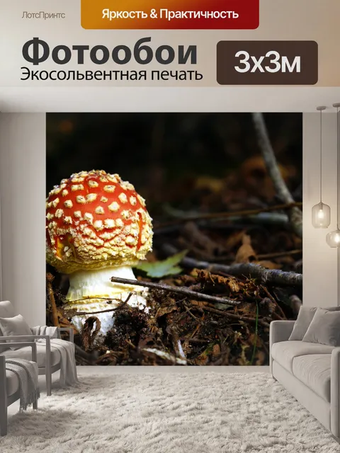 Фотообои Мухомор осенний лес