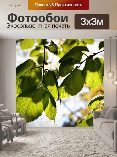 Фотообои Лес