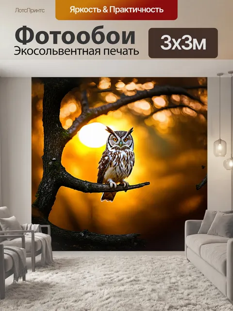 Фотообои сова сидит на ветке, окруженная мягким, золотым светом рассвета, ее перья переливаются и блестят, как атлас…