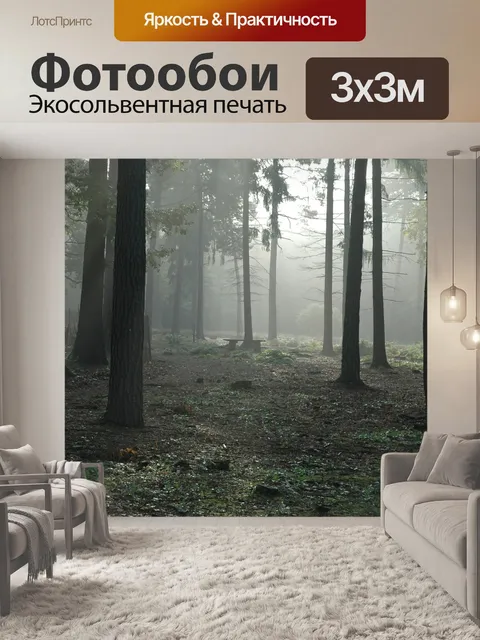 Фотообои Лес