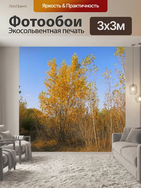 Фотообои Деревья
