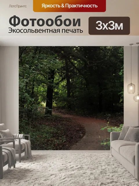 Фотообои Прогулка по лесу