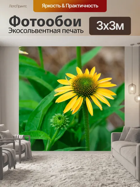 Фотообои Желтый Дейзи