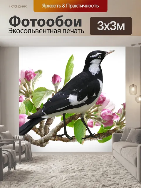 Фотообои Мюррей сороке